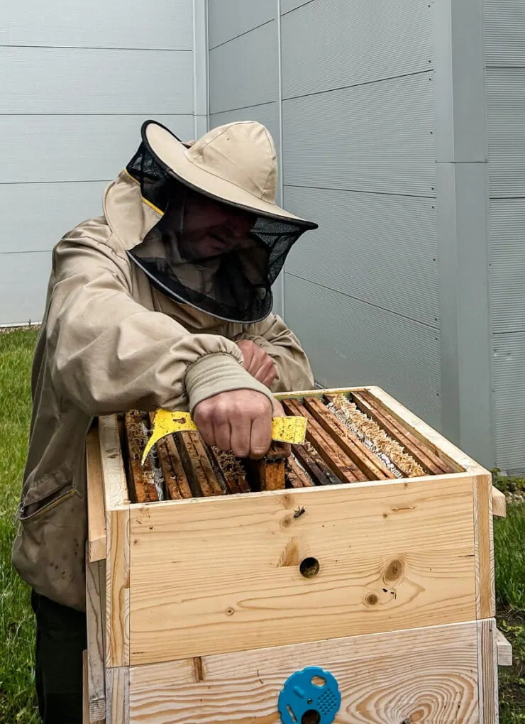 Včelař u úlu  Tým s velkým šekem